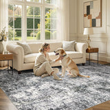 Area Rug Living Room Rugs - 10x14 Abstract Large Soft Indoor Washable Rug Neutral Modern Low Pile Ca