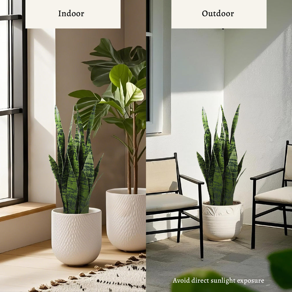 2ft 2-Pack Artificial Snake Plants in Pots, 25.6in Faux Sansevieria, Green
