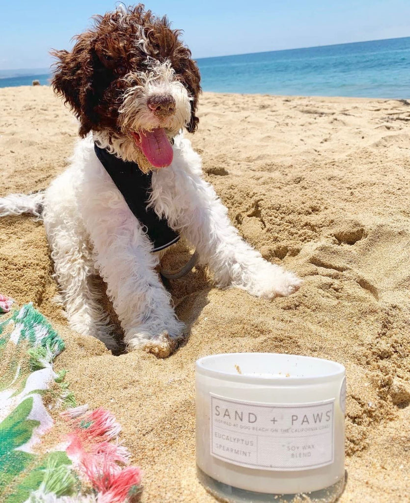 + Paws Scented Candle - Fresh Jasmine - Additional Scents and Sizes -Luxurious Air Freshening Jar Candles Neutralize