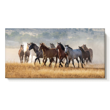 Running Horse Canvas Wall Art, Western Horse Herd Picture, 40x20