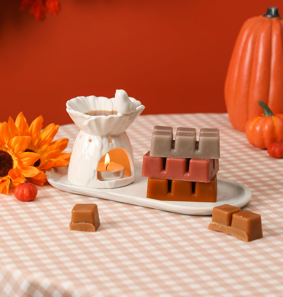 Fall Scented Wax Melts, Soy Wax Cubes for Wax Warmer