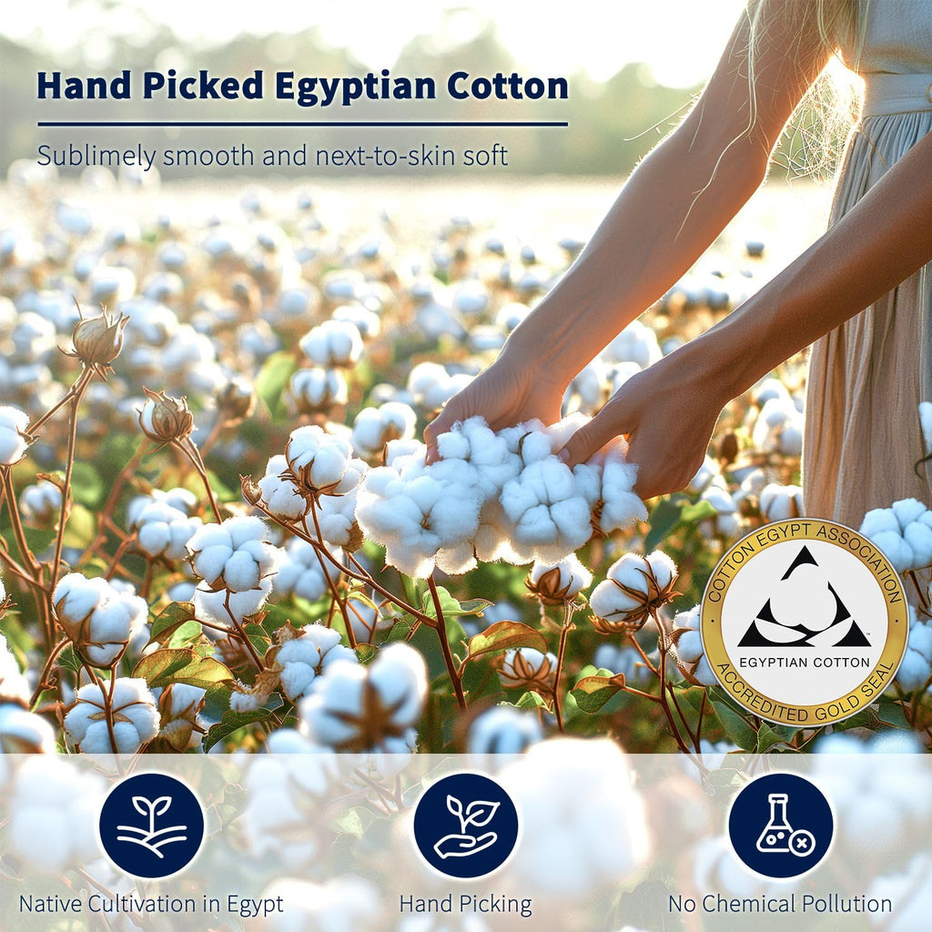 100% Egyptian Cotton Sheets Set (White, California King)