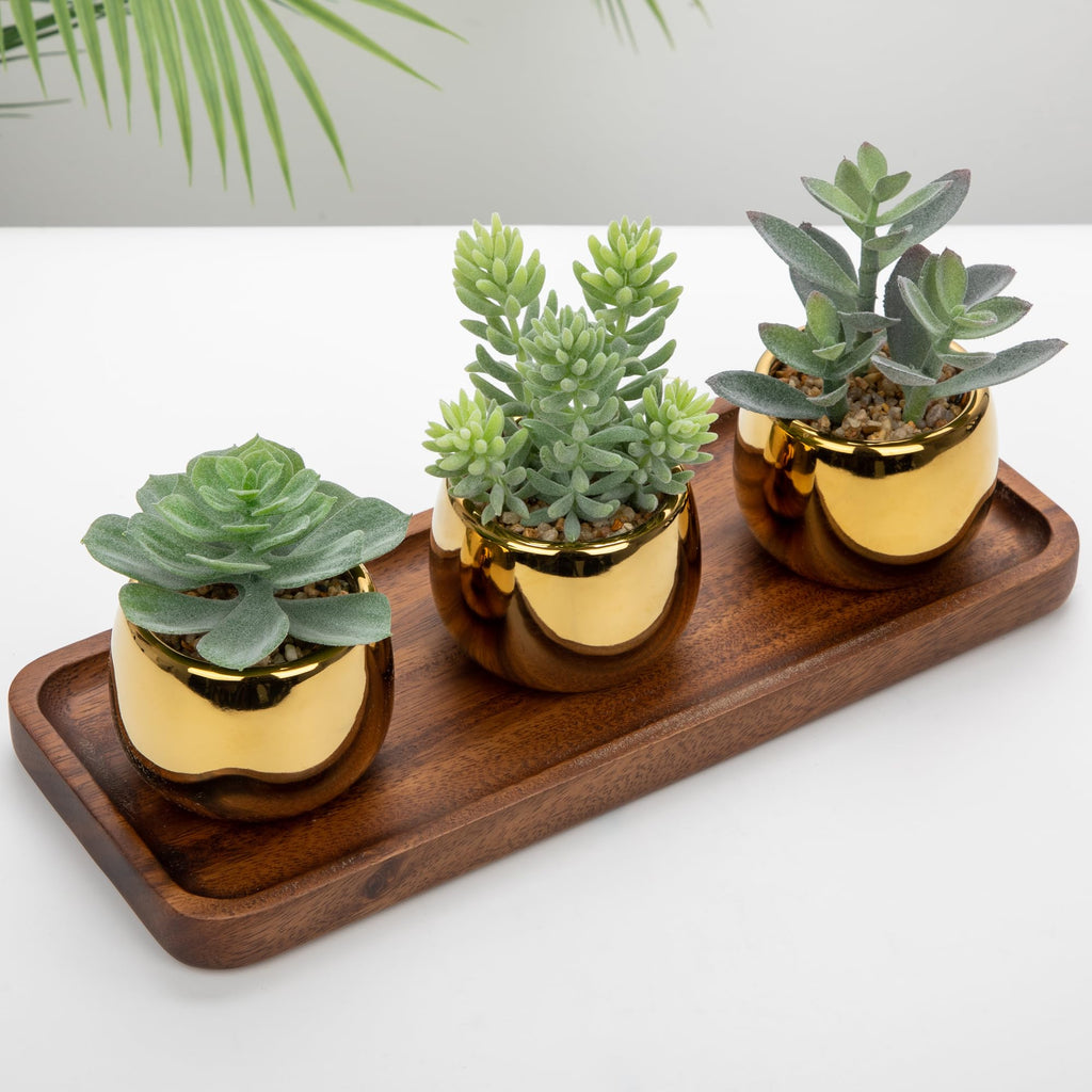 Small Artificial Succulents Potted Set of 3 Realistic Faux Succulents Plants with Gold Ceramic Pots Cute Mini Flocked