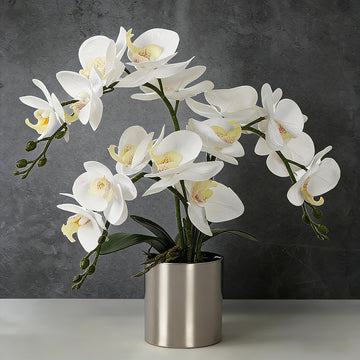 Potted Artificial Orchid Flowers, Real Touch White Fake Artificial Orchid Flower in Silver Vase Arrangement for Table