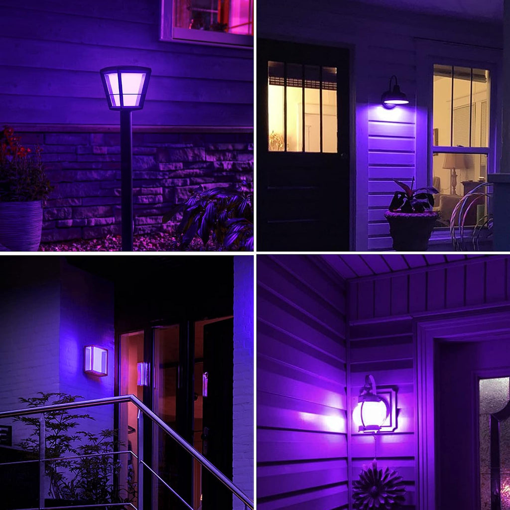 Purple LED Lights Bulb, A19 9W (60W Equivalent) E26 Base Colored Lights