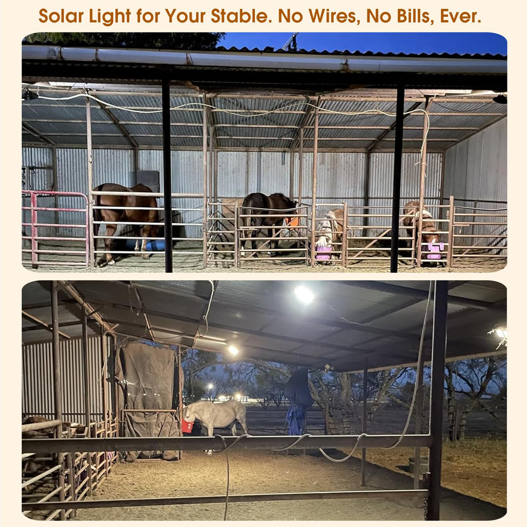 Solar Shed Pendant Light, IP65 Day/Night Dual Head for Barn Gazebo
