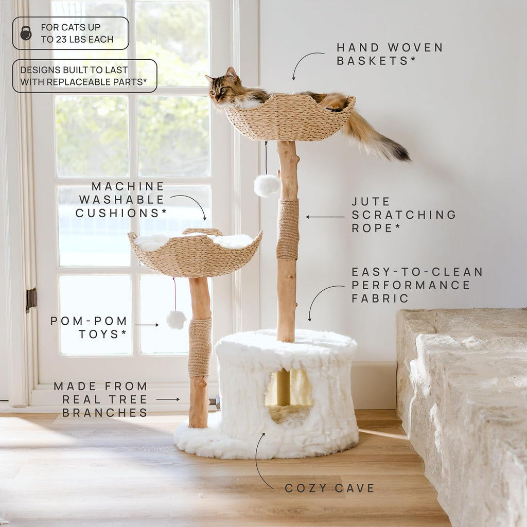 Modern Cat Tree Tower, Real Branch Wood Condo for Large Cats