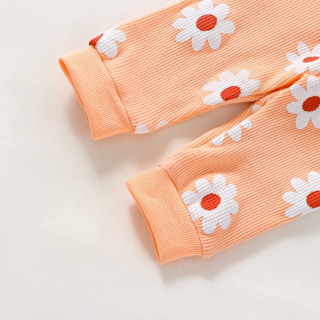 Newborn Baby Girls Flower Long Sleeve Tops Crewneck Sweatshirt and Long Pants Set 2Pcs Fall Outfits