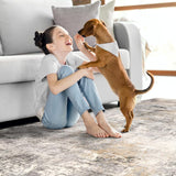 Area Rug Living Room Rugs - 8x10 Modern Abstract Soft Indoor Neutral Washable Rug Stain Resistant Non-Slip Low Pile