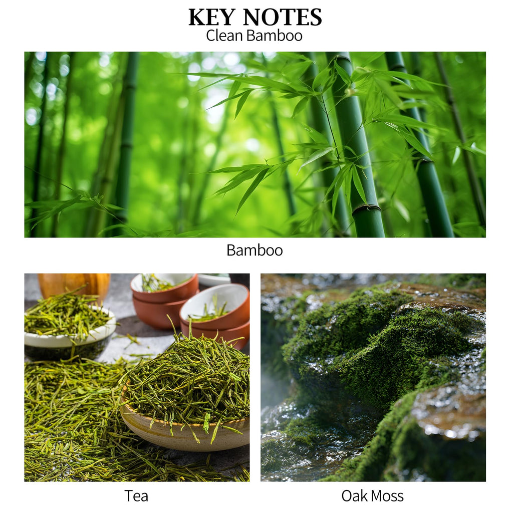 Reed Diffuser - Clean Bamboo Essential Oil Aroma