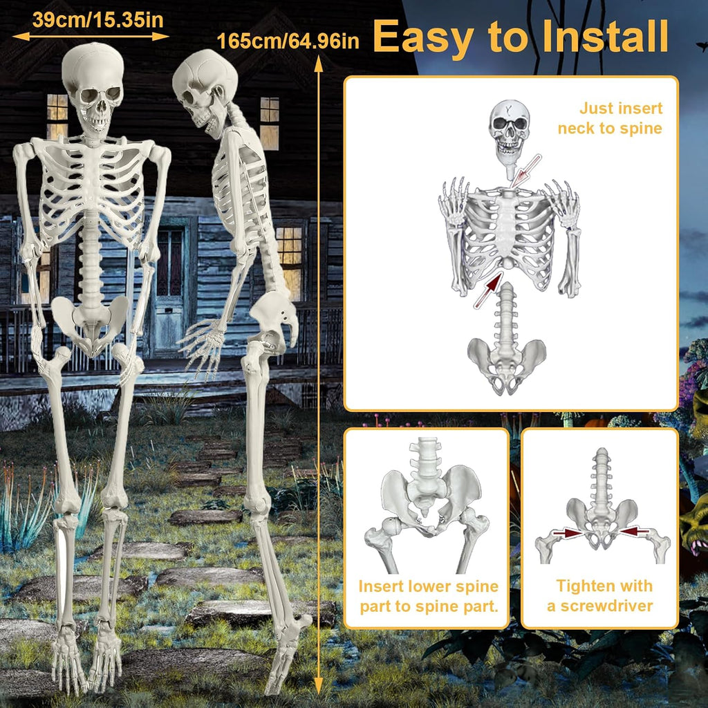 5.4Ft/170cm Posable Halloween Skeleton, Full Body Life Size Skeleton with Movable Joints Outdoor Halloween