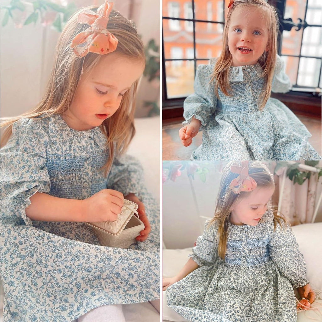 Toddler Girls Smocked Dress,Long Sleeve