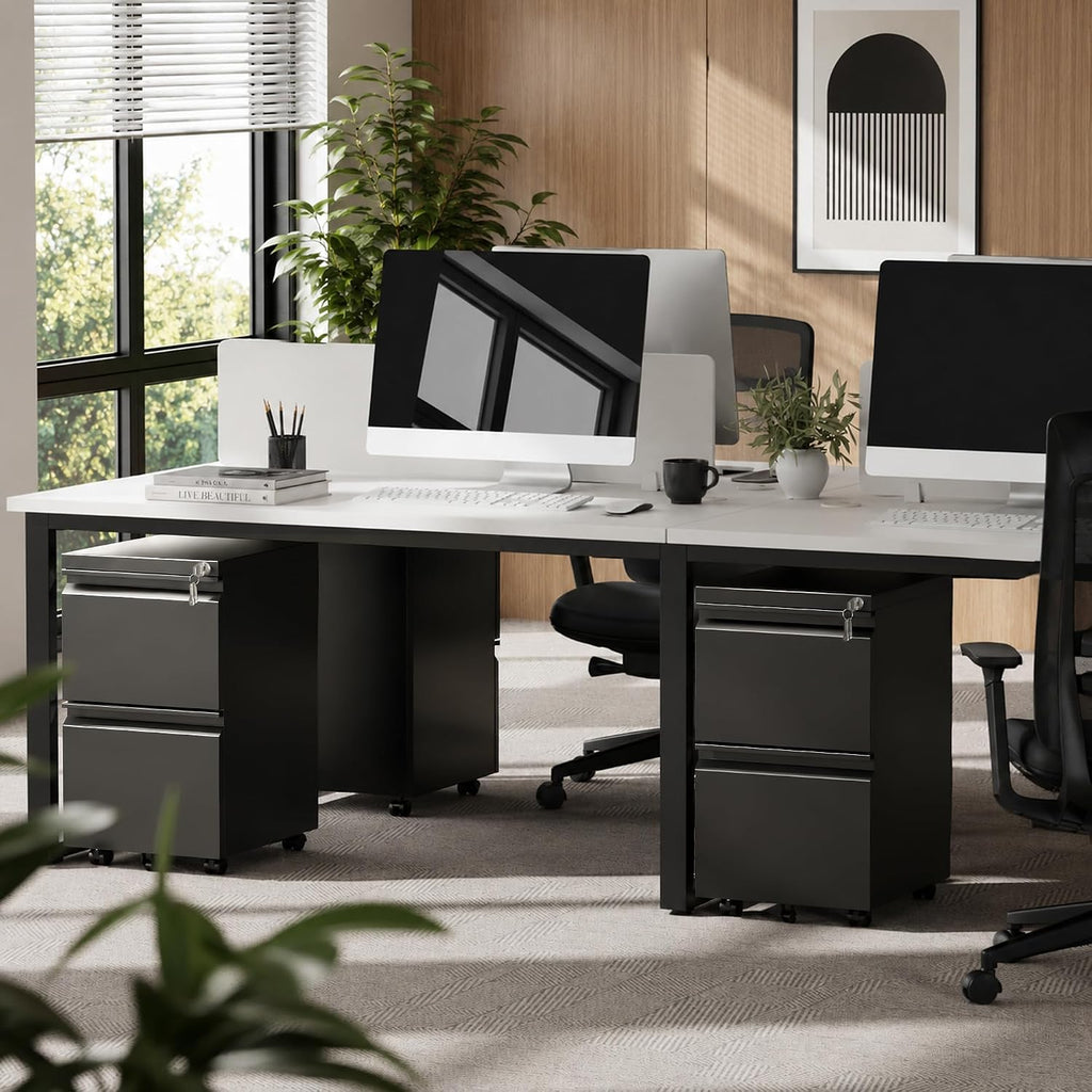 Fully Assembled 2 Drawer Mobile File Cabinet with Lock | Under Desk Metal Filing Cabinet , Rolling Storage for