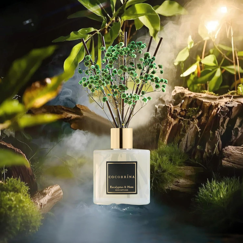 Reed Diffuser Sets- Eucalyptus & Moss Scented Diffuser with Sticks Home Fragrance Reed Diffuser Shelf Decor - Set of 67