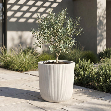 Retro White Magnesium Oxide Planter Pot 14.37" with Drainage Hole
