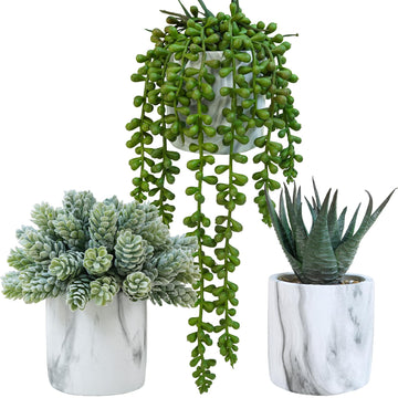 Set of 3 Small Artificial Succulent Potted Plants Fake Aloe Hops String of Pearls in Modern Marble Ceramic Planter