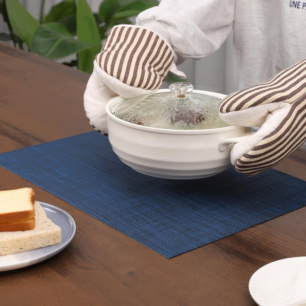 Placemats Set of 10 Kitchen and Dining Table Placemats