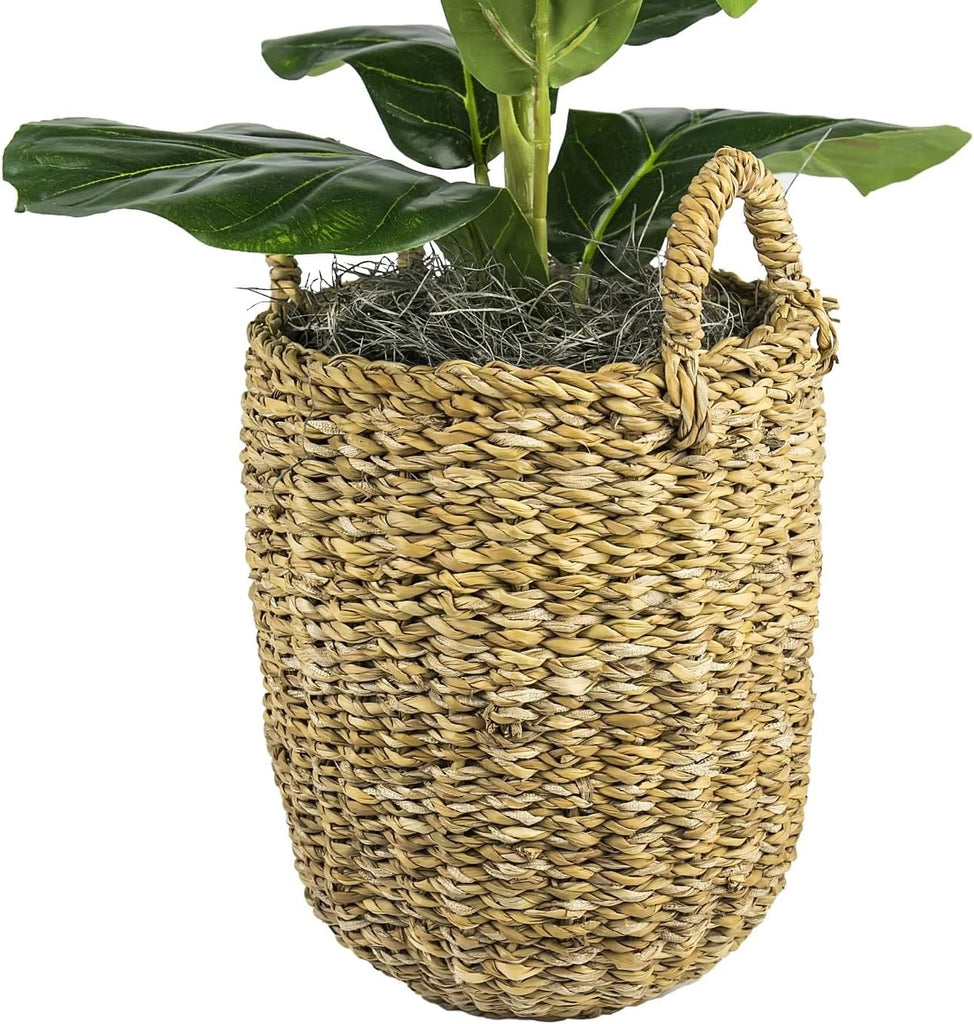 2.5 ft Artificial Fig Tree Plant in Basket, Faux Fiddle Leaf Fig Indoor Plant Decor, Realistic Designer Fake Potted