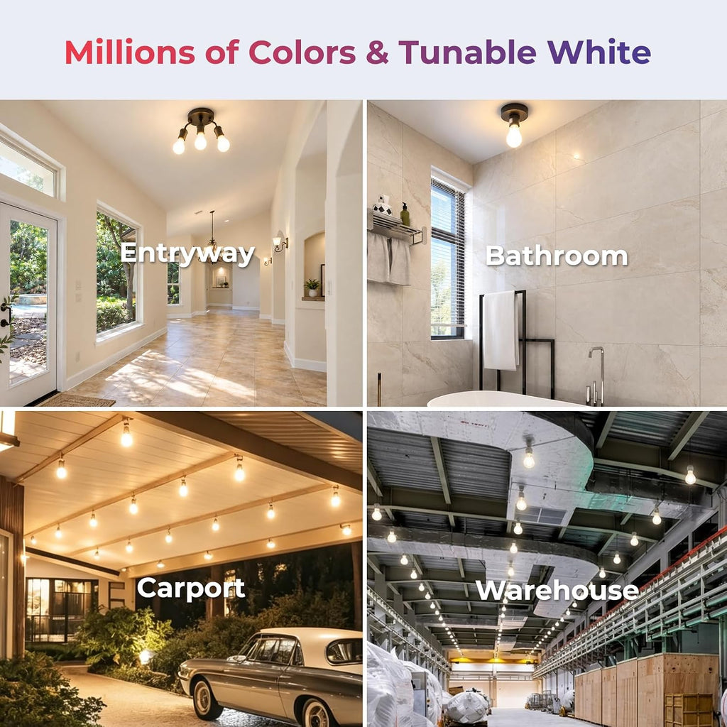 Zigbee Smart Color Bulb ZL2, Hub Needed, A21 RGBCW Bulb, 2700K-6500K Tunable, 1600Lumens, 100W, Compatible with Home