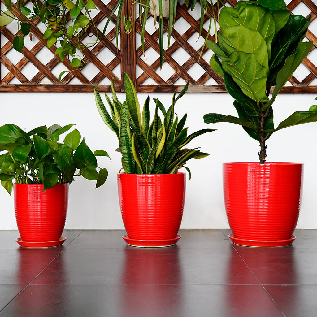 Ceramic Pot for Plants - 8 Inch Plant Pot for Indoor Plants Outdoor Round Planter Modern Flower Pot with Drainage