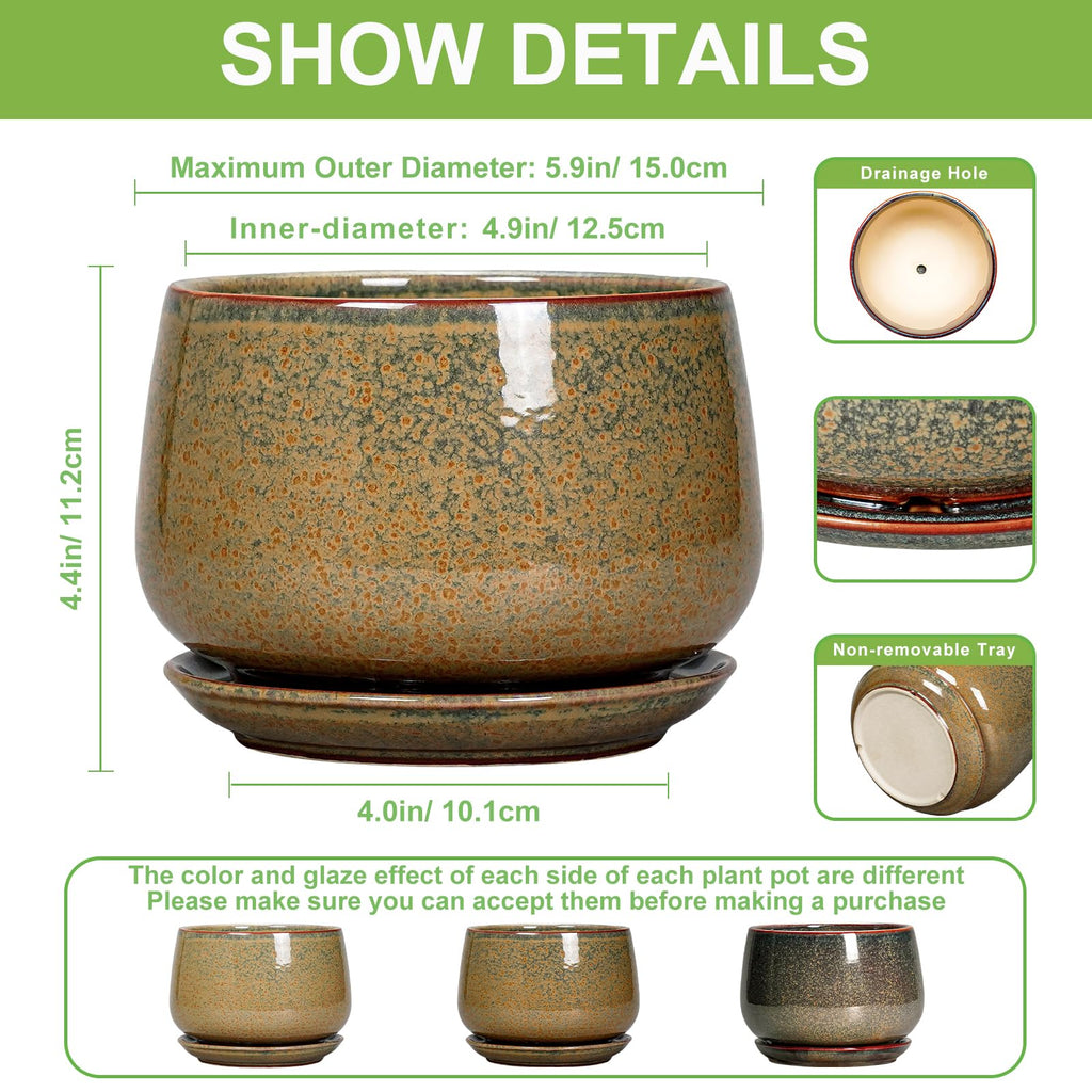 6 Inch Plant Pot - Ceramic Succulent Pots with Drainage and Ceramic Tray, Round Planter for Indoor Outdoor Plants