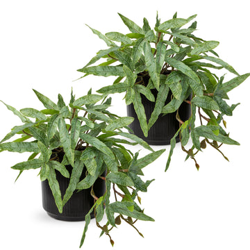 Faux Plants Indoor 9'' Artificial Potted House Plant with Black Ceramic Pot Fake Pteris Cretica Fern Plant Room Desk