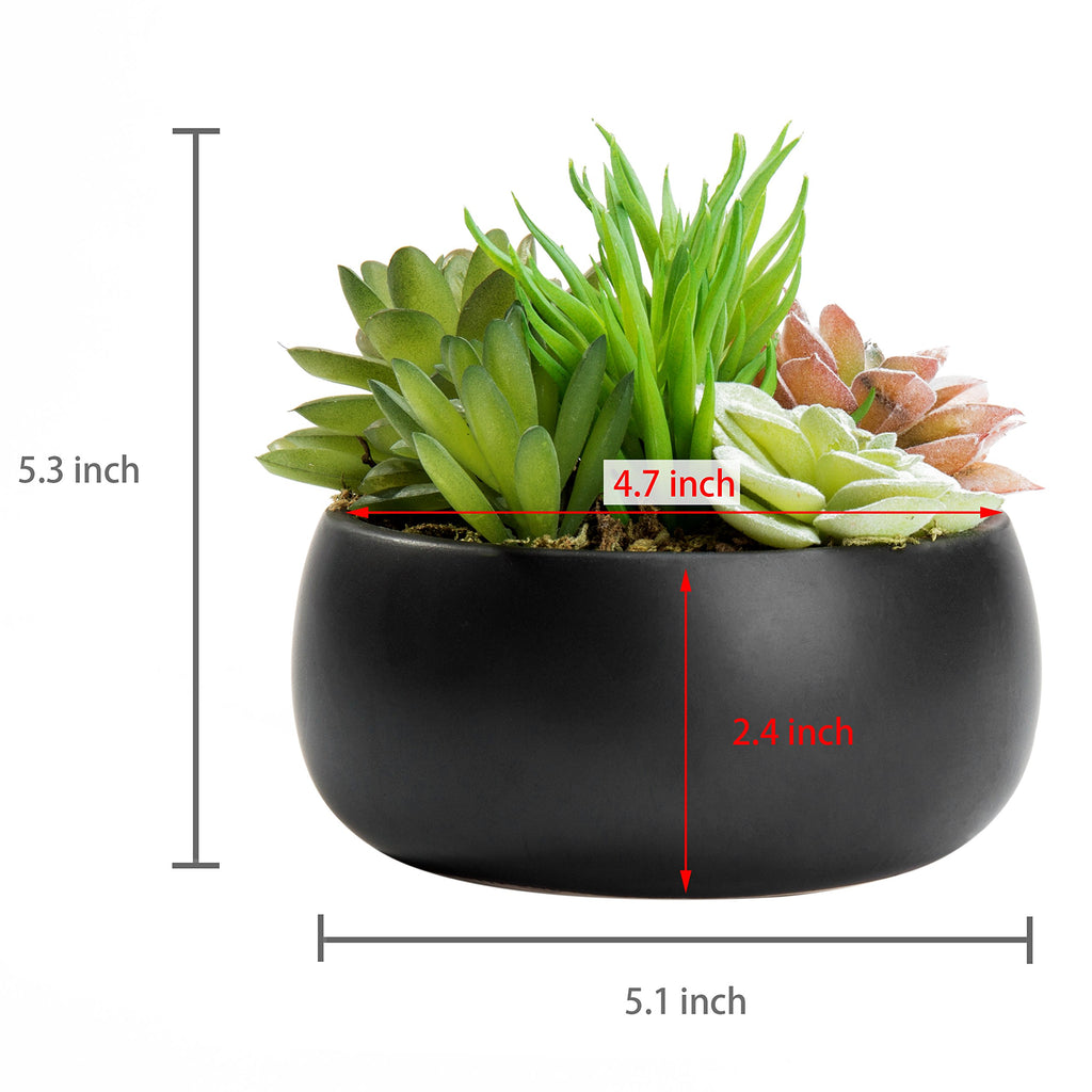 Mini Assorted Artificial Succulent Plants Black Ceramic Planter Bowl