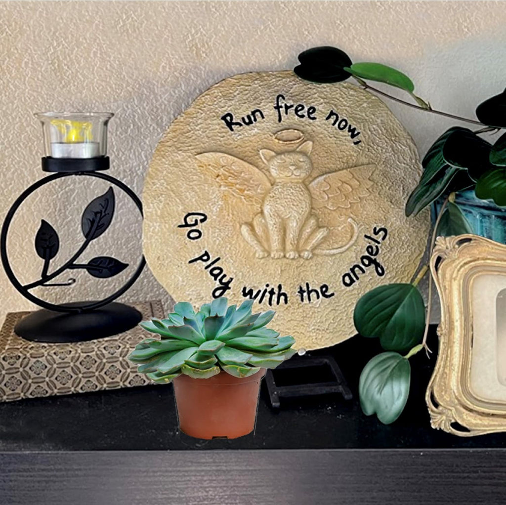 Pet Memorial Stone - Cat or Dog Grave Marker - Durable Waterproof Garden Memorial Stone for Indoor and Outdoor Use