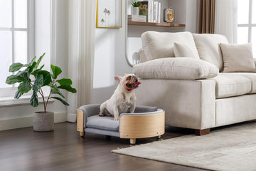Scandinavian Style Elevated Dog Bed Pet Sofa with Solid Wood Legs and Bent Wood Back, Velvet Cushion, Mid Size, Light