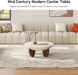 Round Concrete Coffee Table with Premium Walnut Ash Wood Legs, Modern Minimalist Cement Finish Center Table