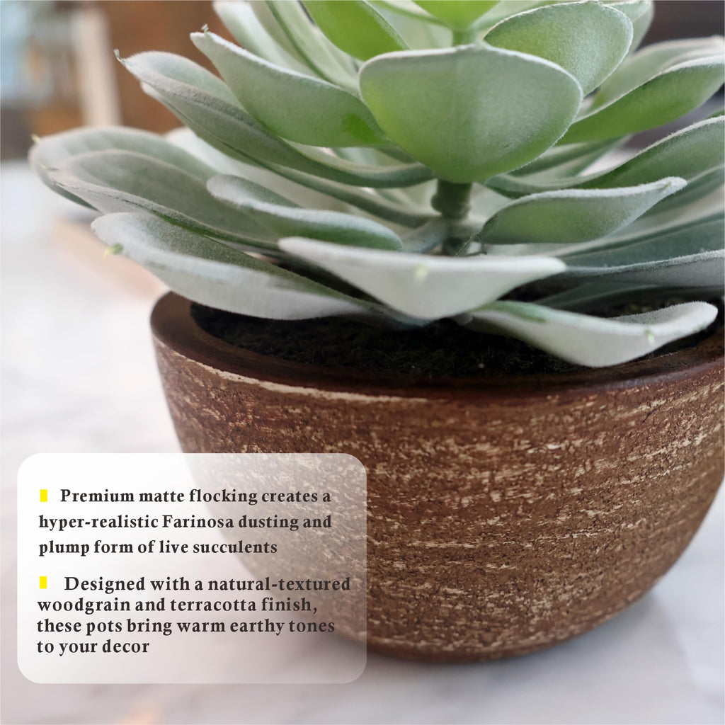 Artificial Succulents Plastic Artificial Green Plant, Fake Succulents Decoration (Set of 2 Succlents in Pots)