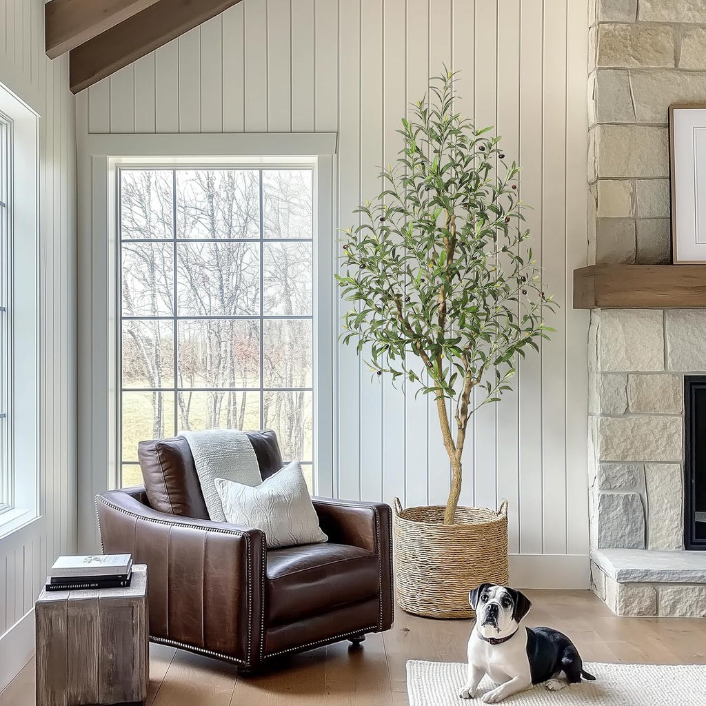 Olive Trees Artificial Indoor, 6 ft Tall Faux Silk Plant - Fake Potted Tree with White Planter, Artificial Plants