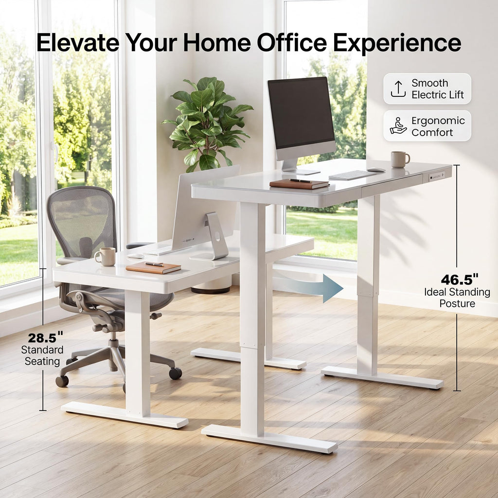 Glass Standing Desk, Height Adjustable Desk, 55 X 24 Inch, White