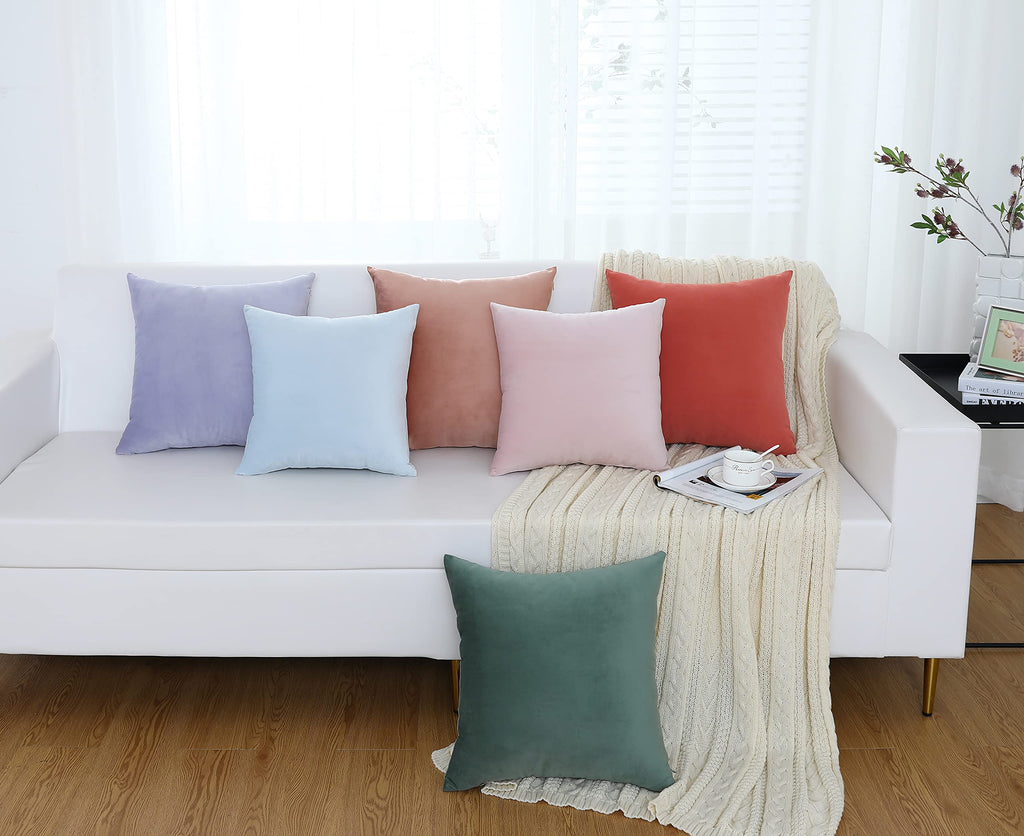 Set of 2 Comfy Soft Thick Velvet Throw Pillow Covers for Sofa Couch, Decorative Solid Square Cushion Cases Car (20 x