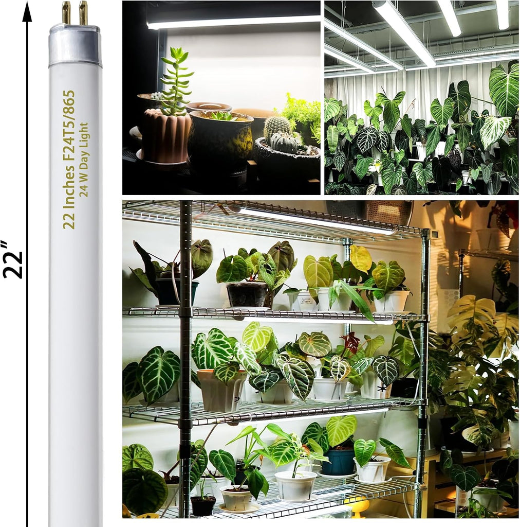 6 Pack 22 Inch T5 Fluorescent Grow Light Bulbs, 24W 6500K Full Spectrum, 2000 Lumens, High Output (HO)