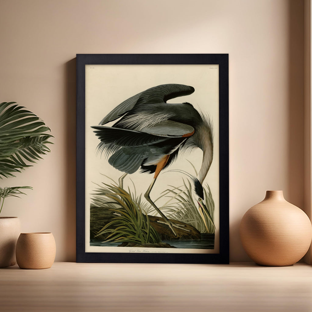 Master Vintage James Audubon Poster - Retro Great Blue Heron Print - Birds of America Art - Gift for Men, Women &