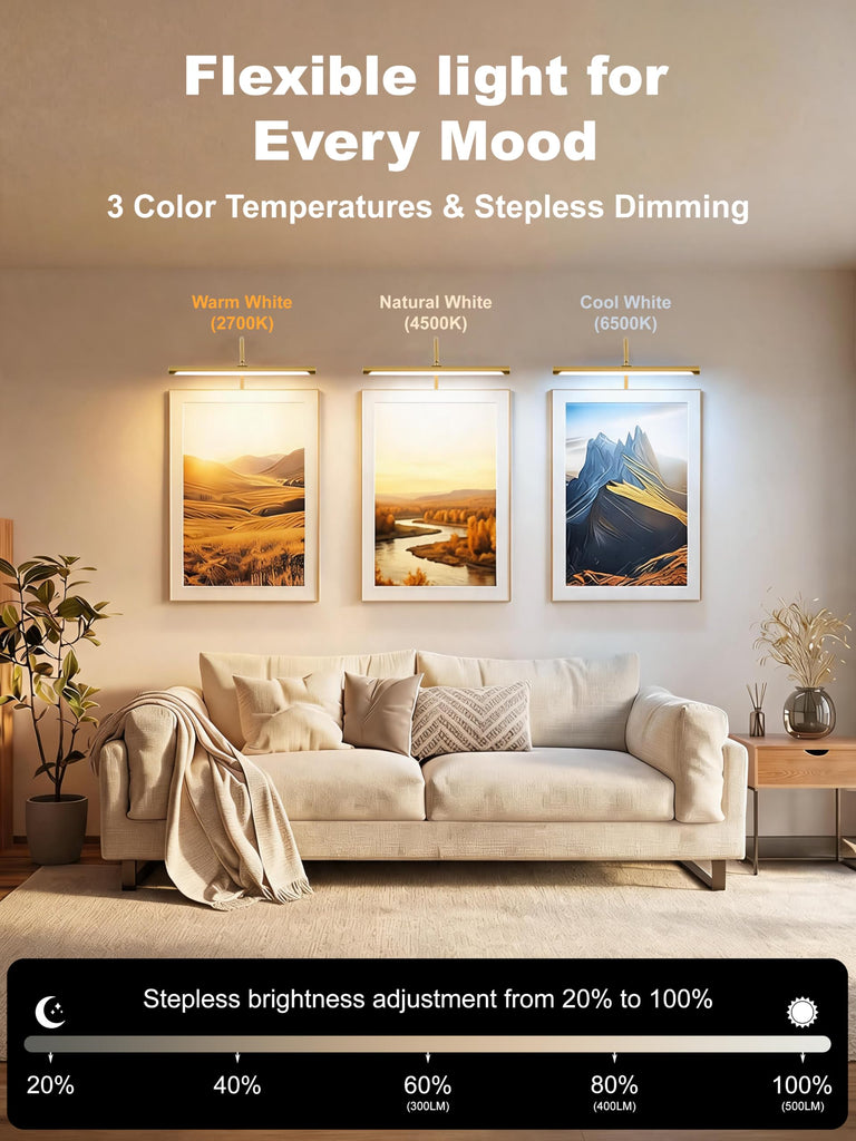 Plug in Picture Light for Wall, Modern Dimmable Picture Frame Lights with Remote LED Wall Art Lights for Paintings