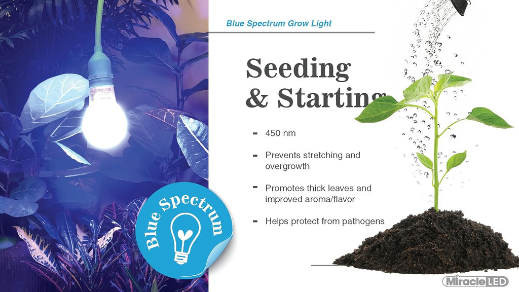 4KK Indoor Grow Light Bulb - 4000K Blue Spectrum Grow Bulbs for Vegetables, Herbs, Hydroponics. (2-Pack)