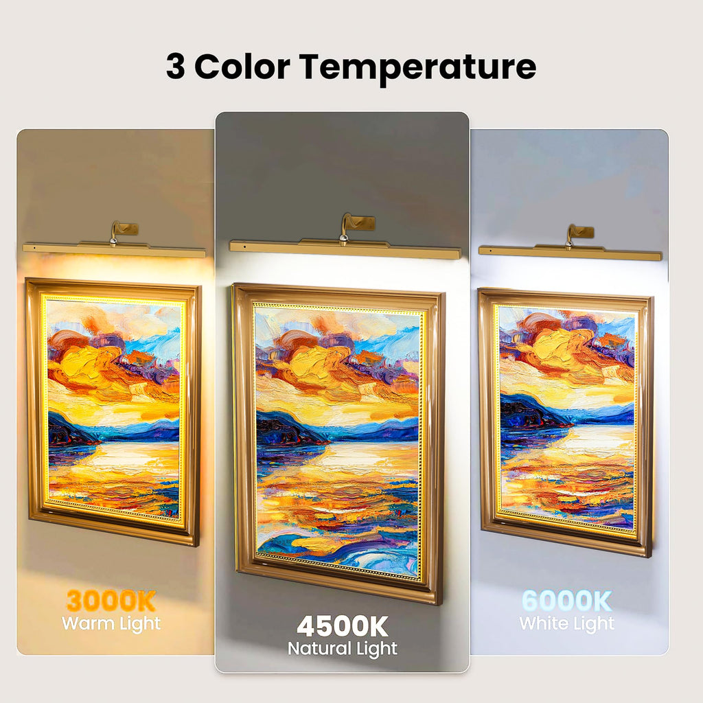 24 Inch Picture Light for Wall - Battery Operated Wireless Wall Sconce with Remote & Timer for Artwork, Portrait