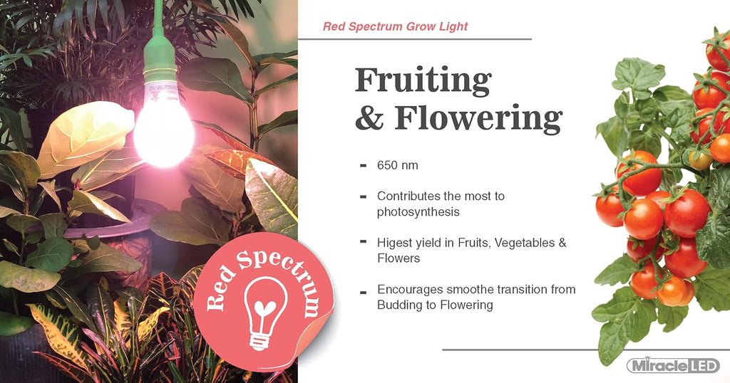 S Red Spectrum Wide Angle Grow Light Bulbs (4-Pack)