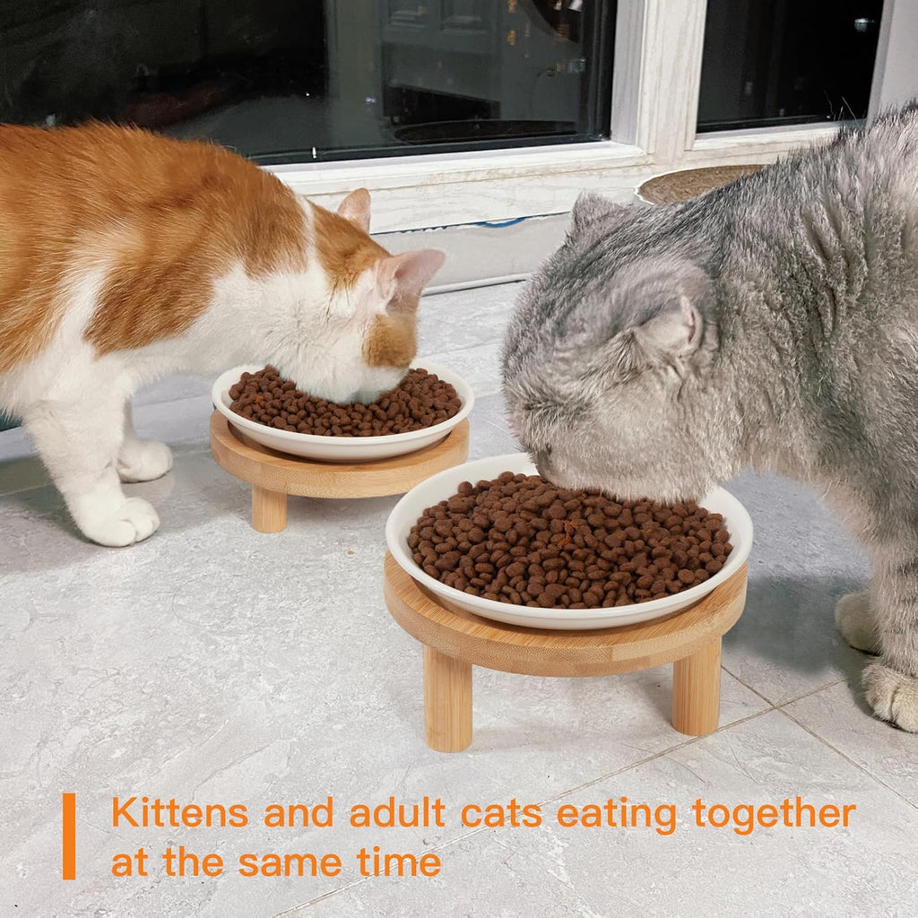 Elevated Cat Bowls Bamboo Stand, Ceramic Feeding Station for Indoor Cats
