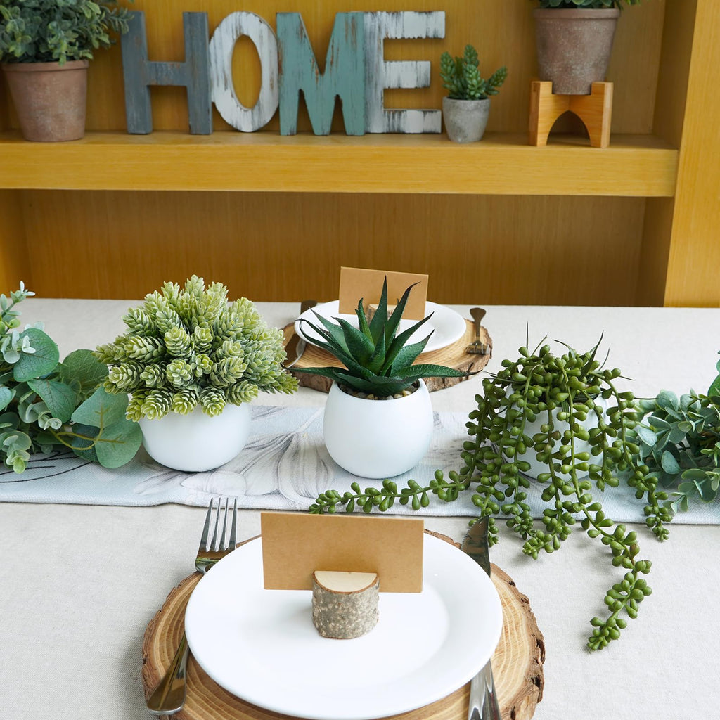 Set of 3 Assorted Artificial Succulent Plants in White Concrete Pots Faux Aloe Hops String of Pearls Potted Plants