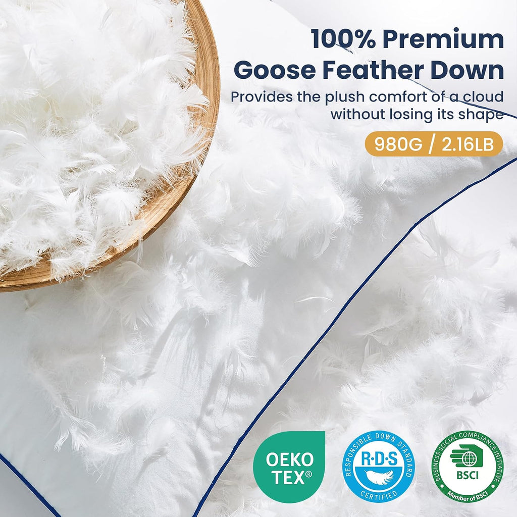 Down Pillow Inserts 20x20, 100% Goose Down Feather Throw Pillows Inserts - Ultra Plush, Decorative Pillow Insert