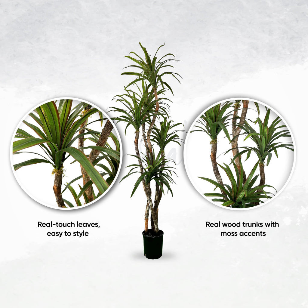 Handmade 7ft Outdoor Safe UV Resistant Artificial Yucca Plant | Tree with Real Wood Trunks, Hypoallergenic, 7 Foot