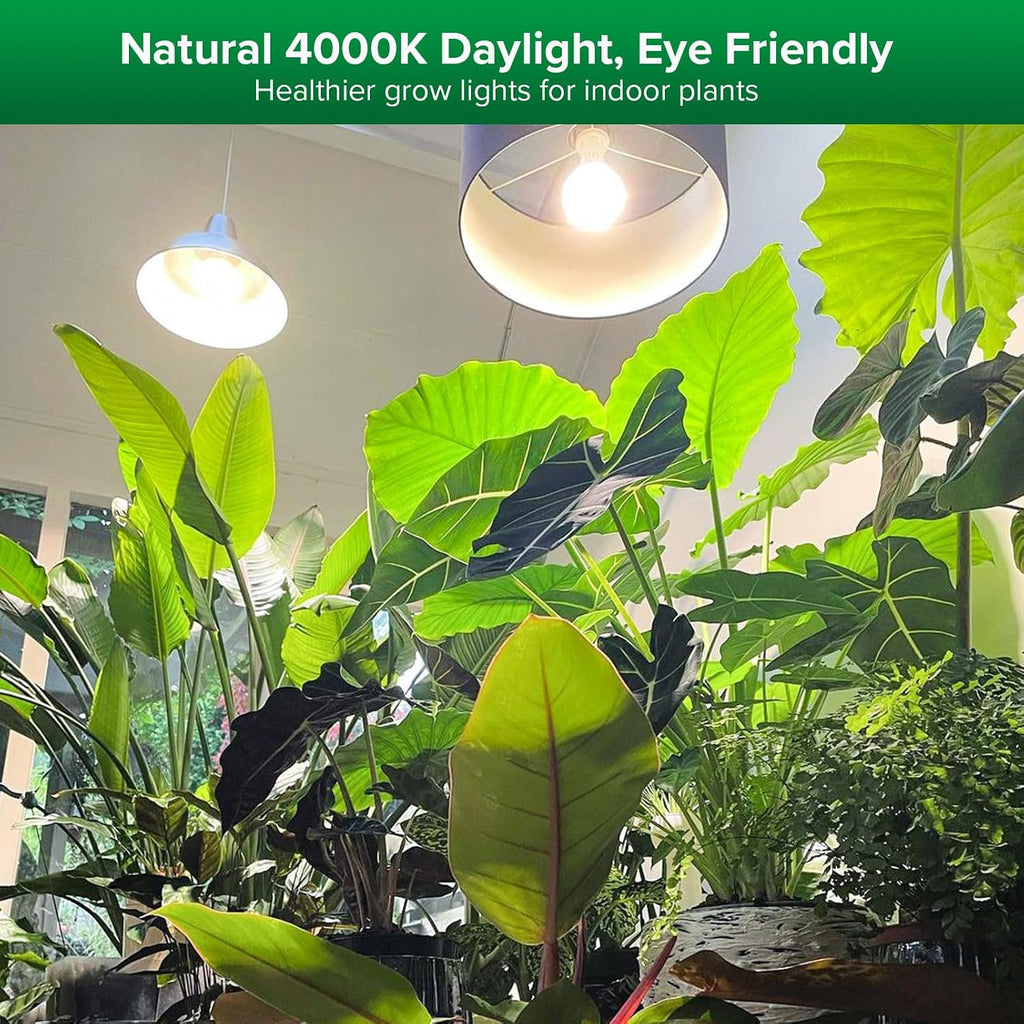 Grow Light Bulbs for Indoor Plants, 10W Full Spectrum 4000K Daylight