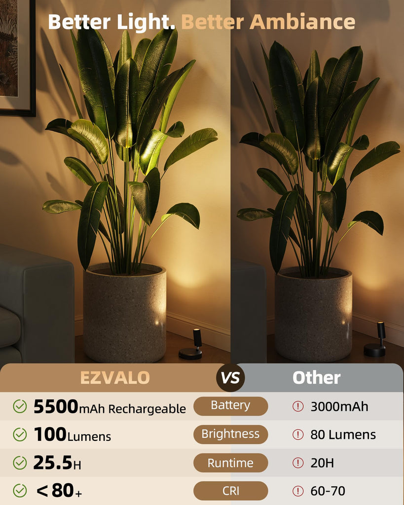 Indoor Spotlights, Picture Lights for Wall, Plant Up Lights
