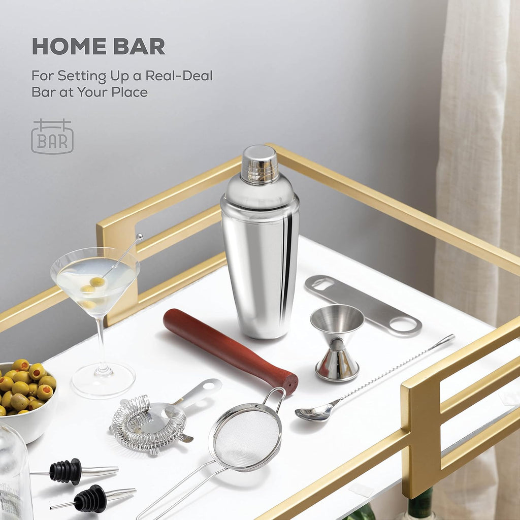 Stainless Steel Cocktail Shaker Set, 10-Piece Bartender Kit - Set of 14