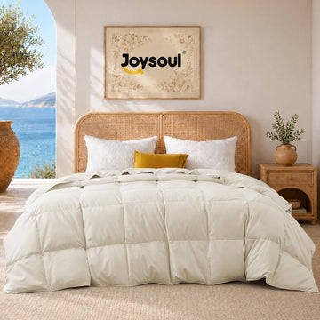 All Season Down Comforter Queen Size, Lightweight Goose Feather Fiber Comforter, Breathable Ultra Soft Fluffy Duvet