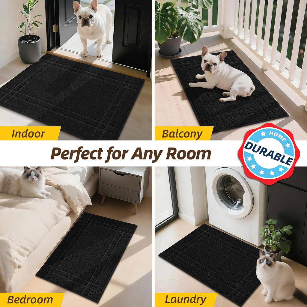 Door Mat for Entrance, TPR Non-Slip Backing, 24" x 36", Black | Washable Low Profile Doormat for Front Door & Back
