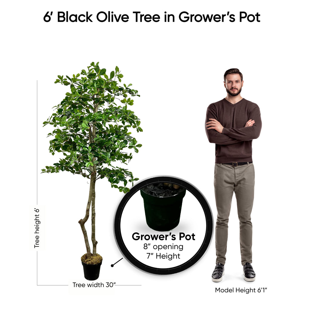 Handmade 6ft Italian Black Olive Leaf Artificial Tree with Ethically Sourced Real Wood Trunks, Hypoallergenic